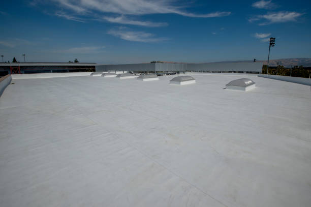 Best Roof Maintenance and Cleaning  in Kingwood, WV